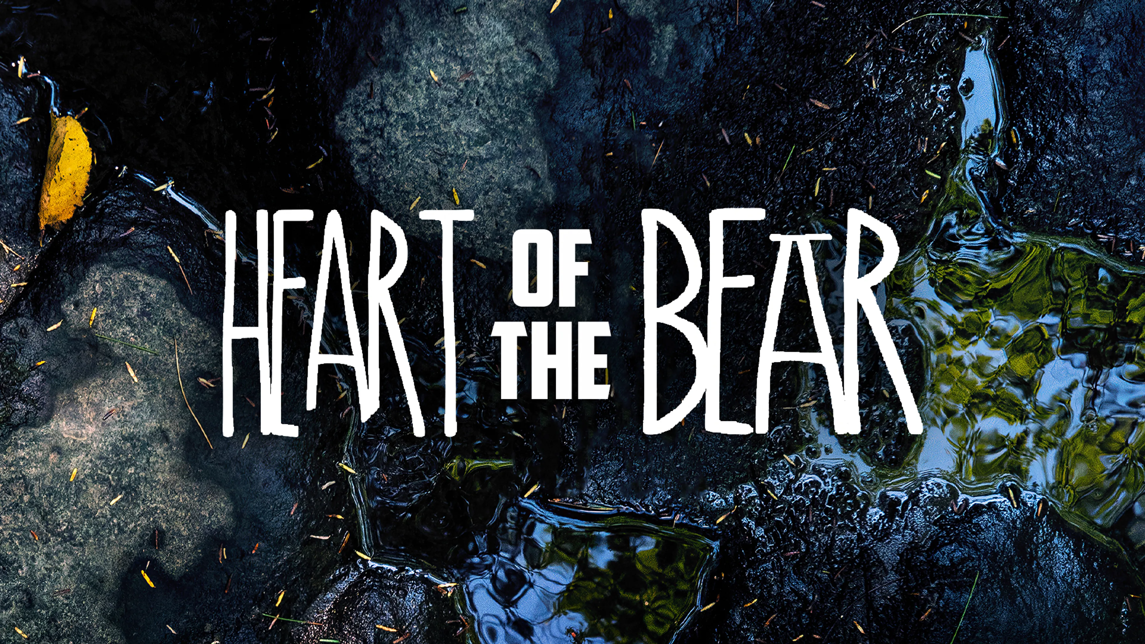 Heart of The Bear poster